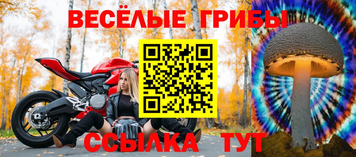 Омск  Галлюциногенные грибы мухоморы  Вход с VPN 